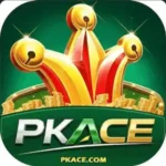 pkace game