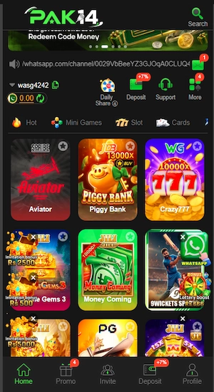 PAK14 Game